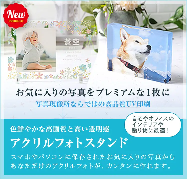 WEB早割40%割引！「喪中はがき」受付中！お世話になった方々へ感謝の言葉をはがきで贈る