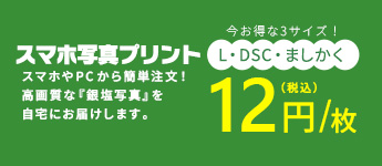 高品質スマホ写真プリントLサイズ7円！ 安い！ 銀塩印画紙写真プリント